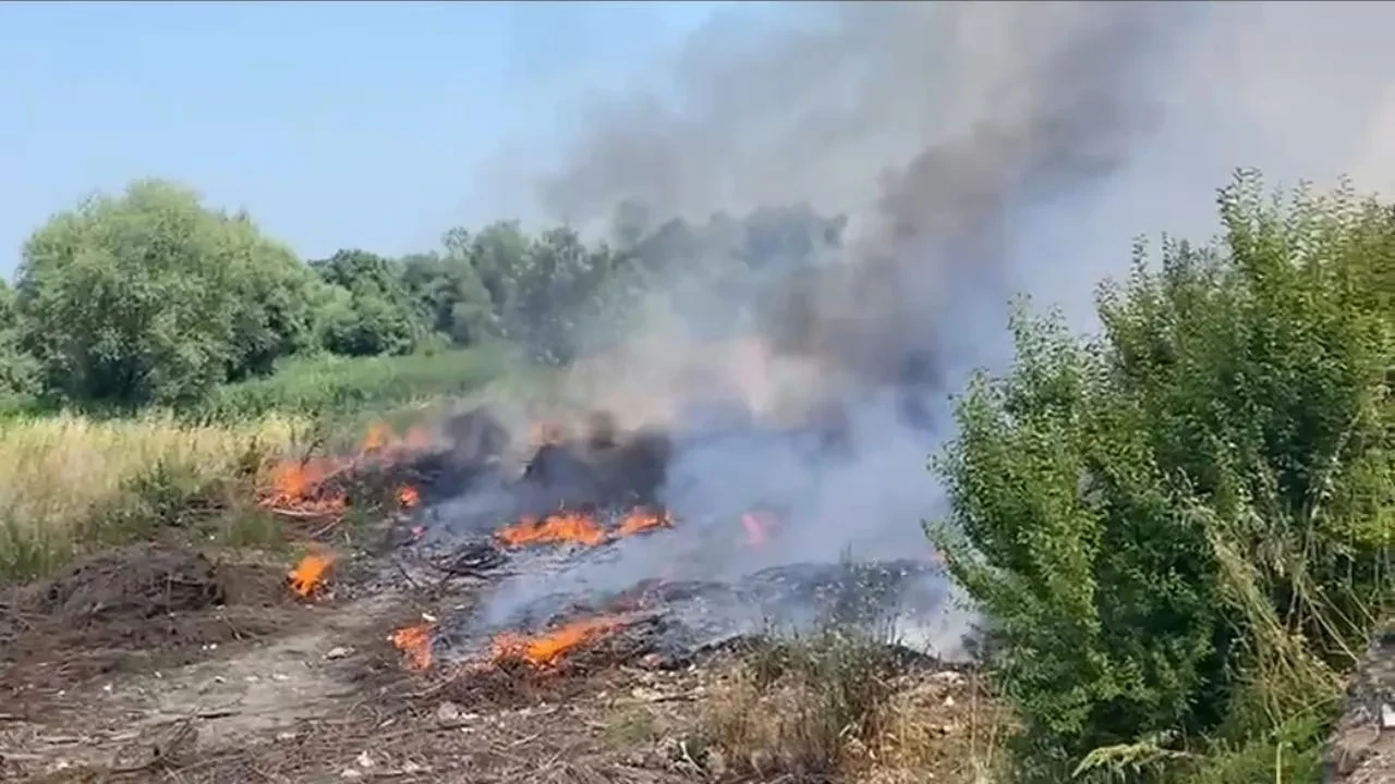 Bafrada otluk alanda çıkan yangın söndürüldü