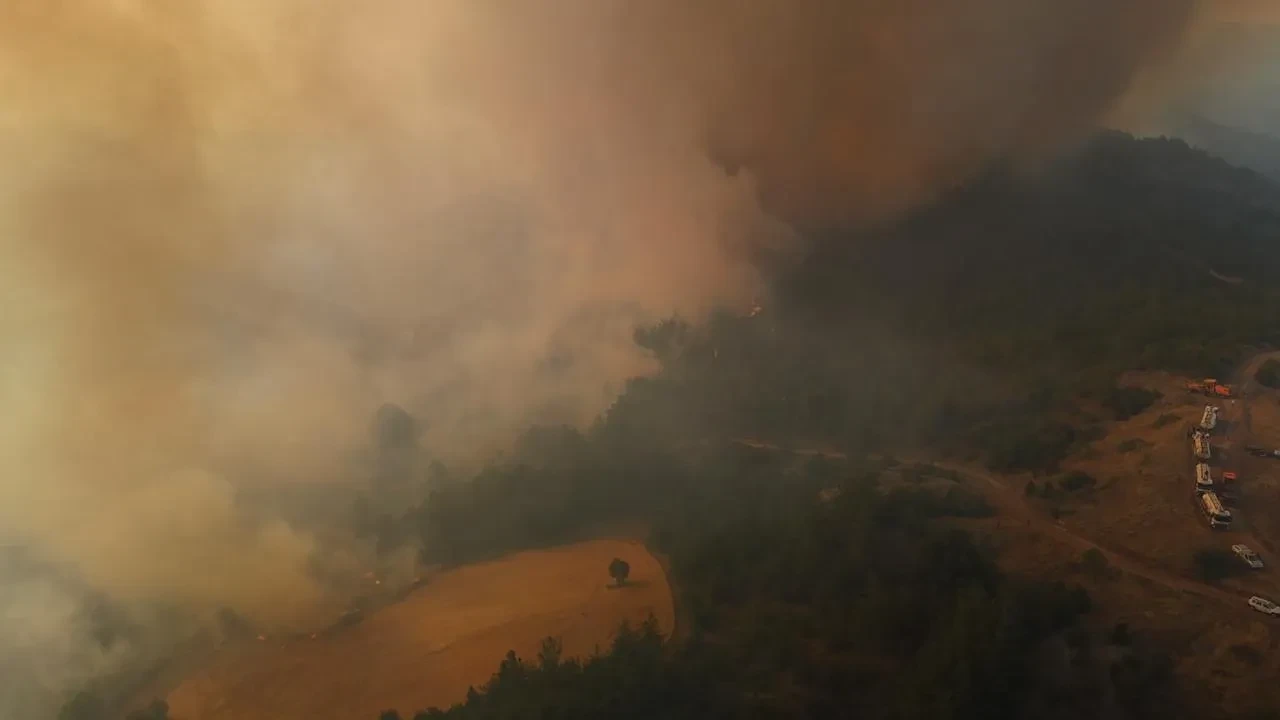 Bilecik Gölpazarı yangınına vatandaşlar seferber oldu