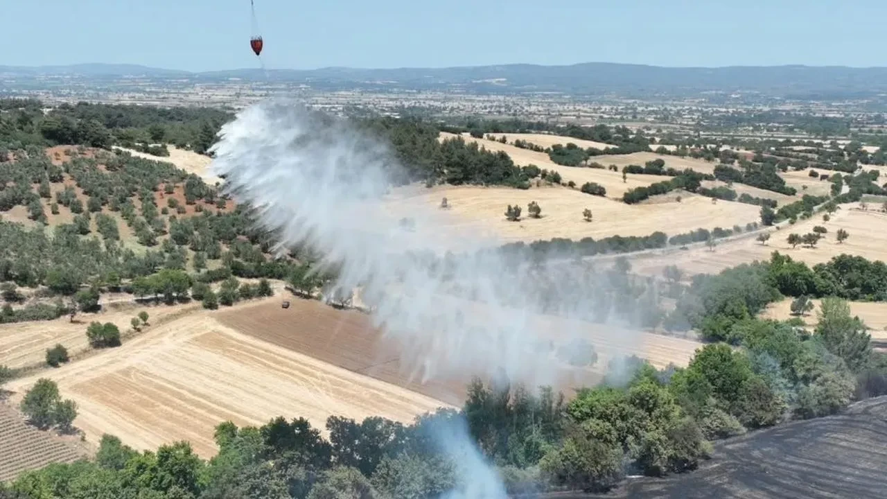 Bayramiç tarım arazisindeki yangın bir saatte söndürüldü