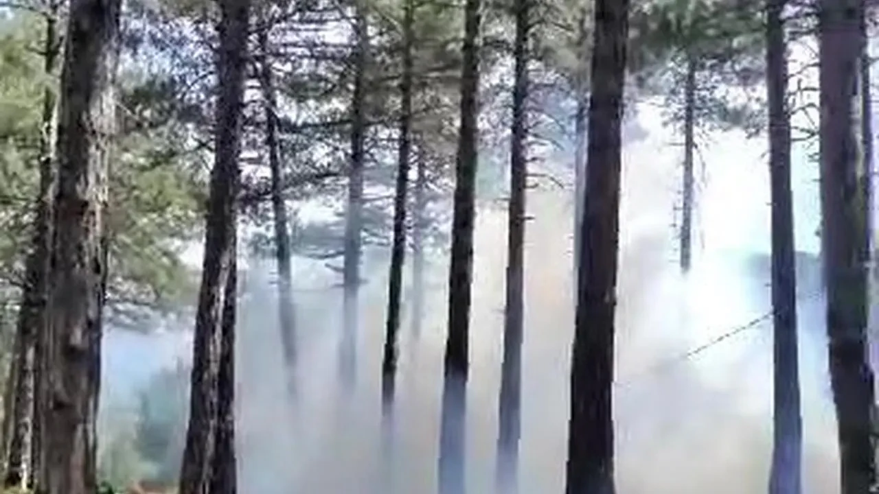 Denizli Honaz ormanlarında yıldırım düşen alanlar kurtarıldı