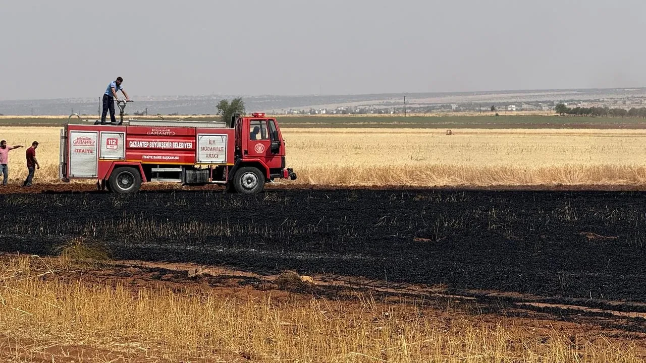 Araban Ovasında buğday tarlası yangında yok oldu