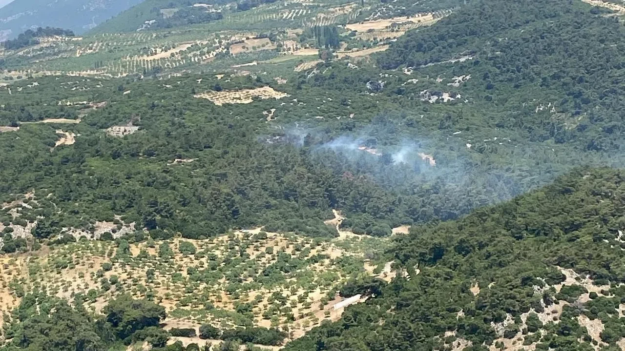 Aydın Germencik orman yangını havadan karadan söndürüldü