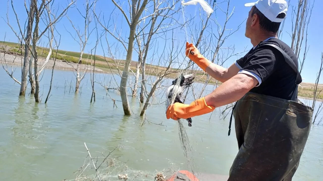 Koçhisar Barajında hayalet ağlar ele geçirildi