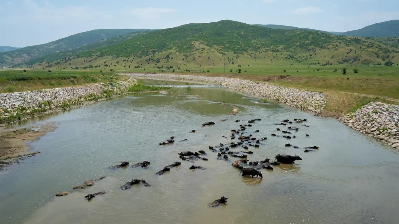 Muş Keçidere köyünde şiddetli fırtına hayatı durdurdu