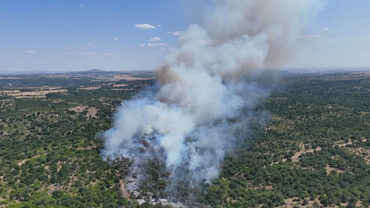 Edirnede Ömeroba köyündeki orman yangını söndürüldü