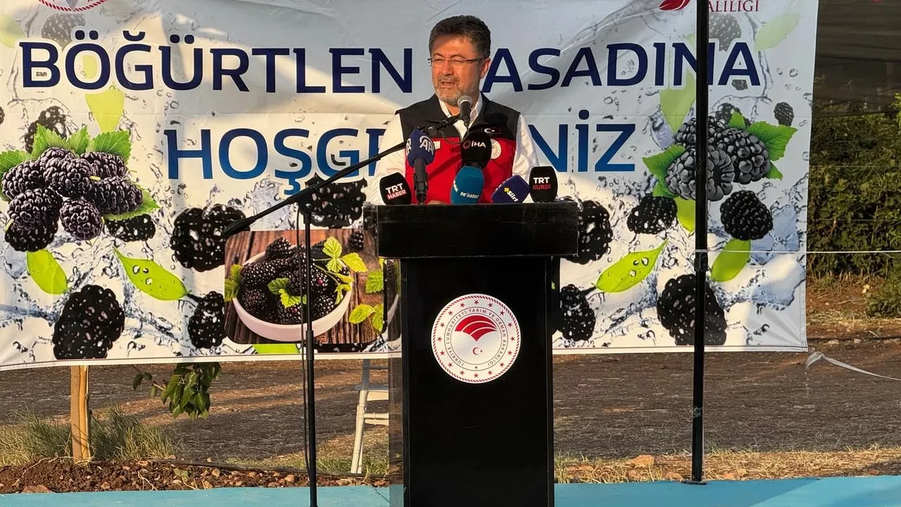Bakan Yumaklı Siirt böğürtlen hasadında üreticilerle buluştu