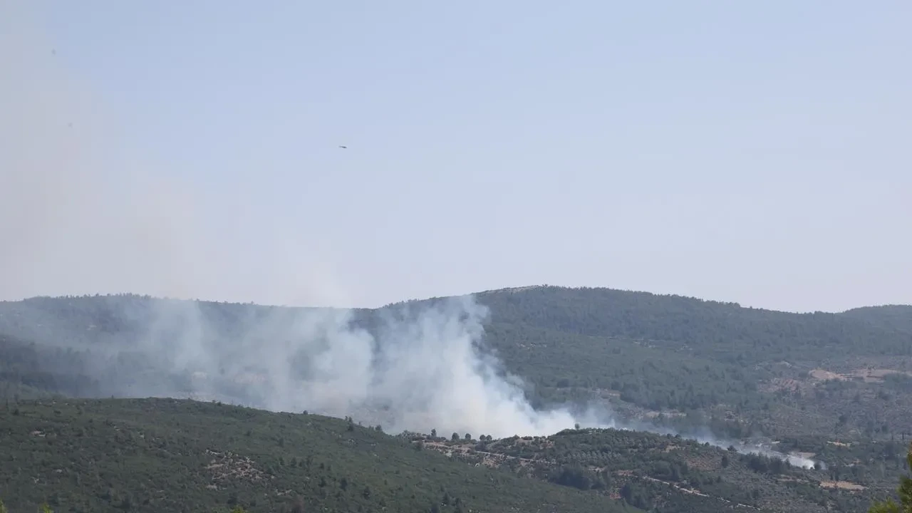 Menteşe Yeşilyurt Mahallesindeki zeytinlik yangını söndürüldü