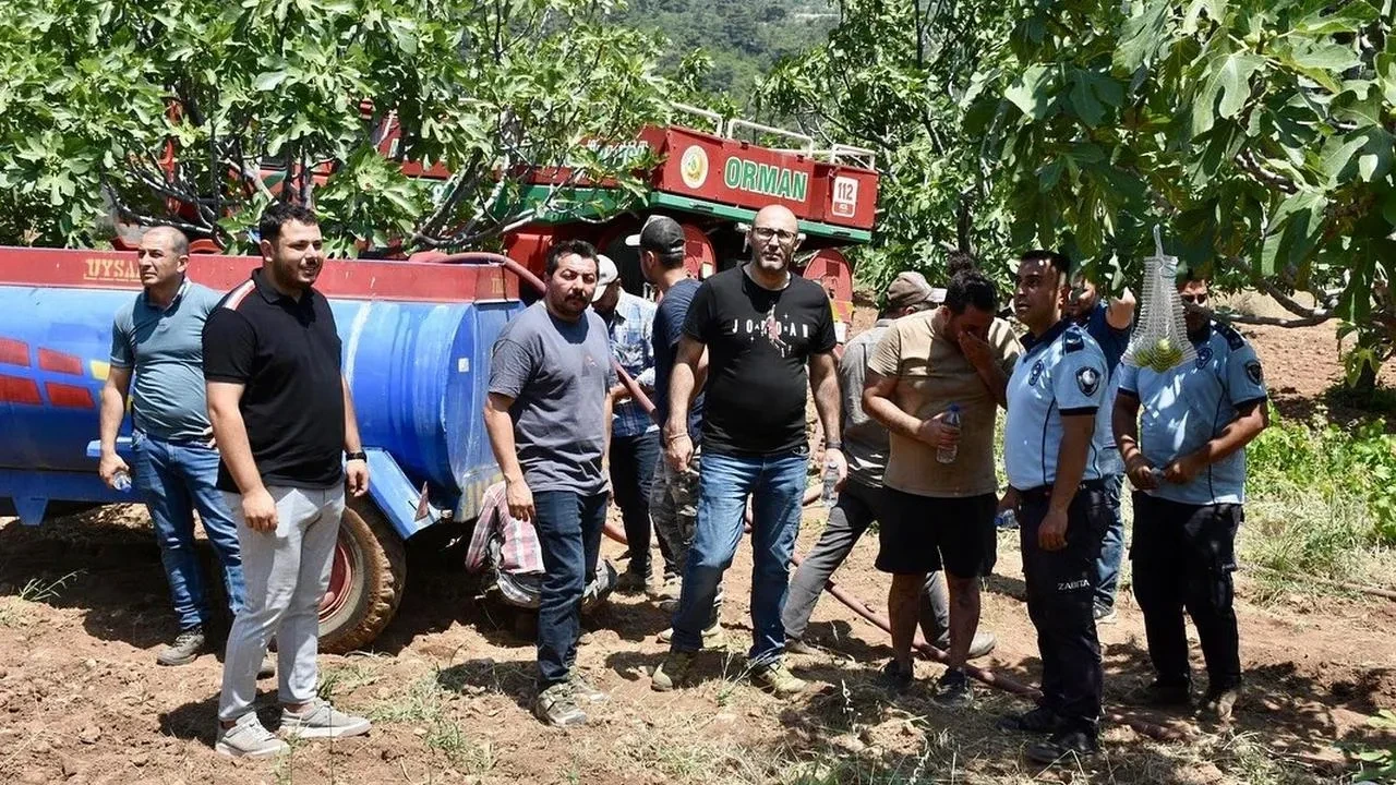 Germencik Dampınardaki orman yangını başarıyla söndürüldü