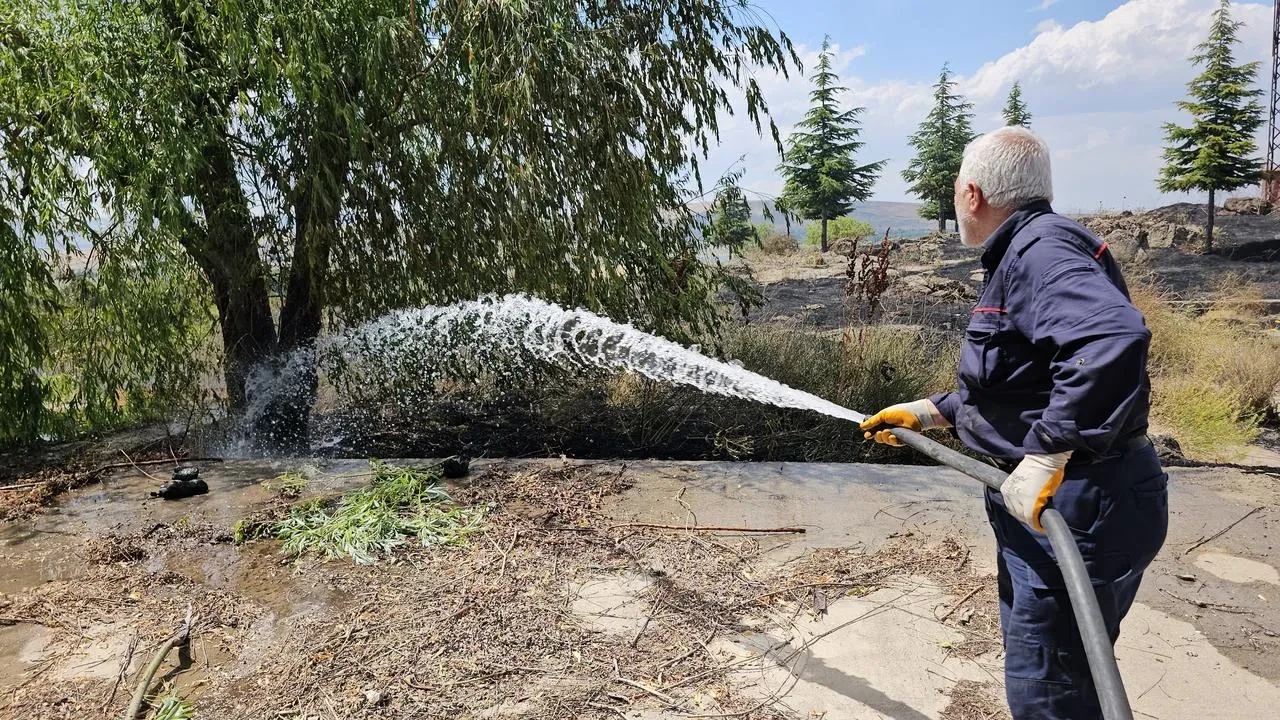 Tatvan ve Adabağ köyünde büyük yangın yayıldı