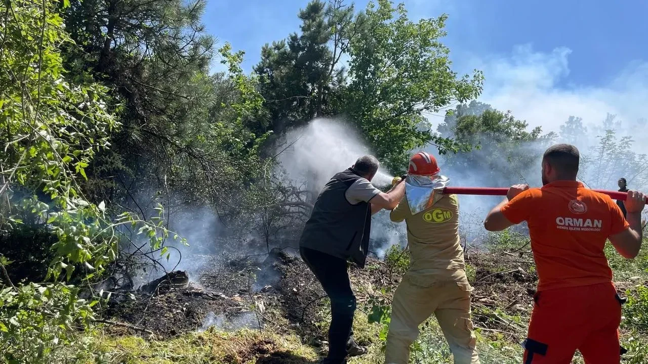 Köyceğiz Beyobası orman yangını hızla söndürüldü