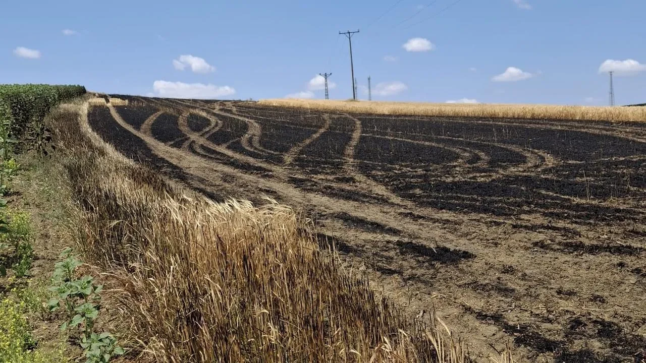 Hayrabolu Susuzmüsellim Mahallesinde arpa tarlası yanarak yok oldu