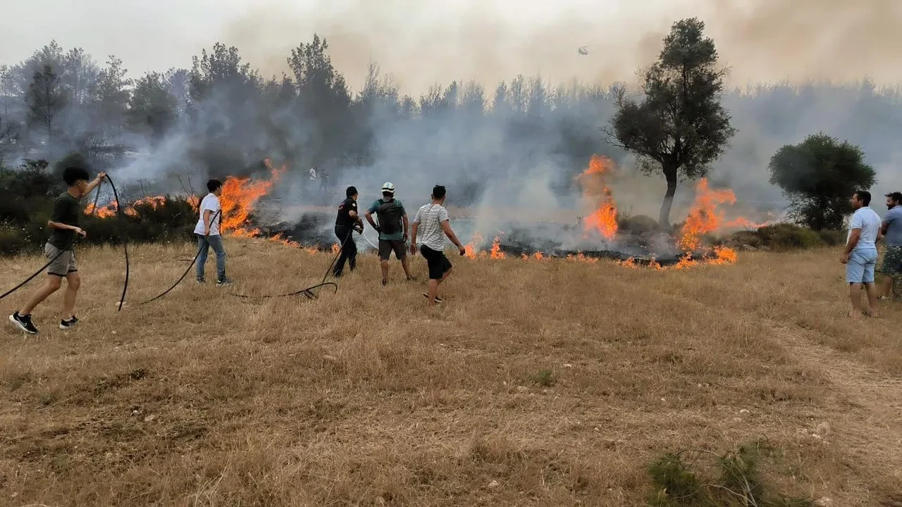 Muğla itfaiyesi 380 anız yangınını söndürdü