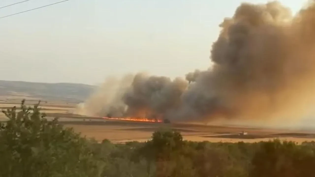 Araban Ovasında buğday tarlaları ve keçiler yandı