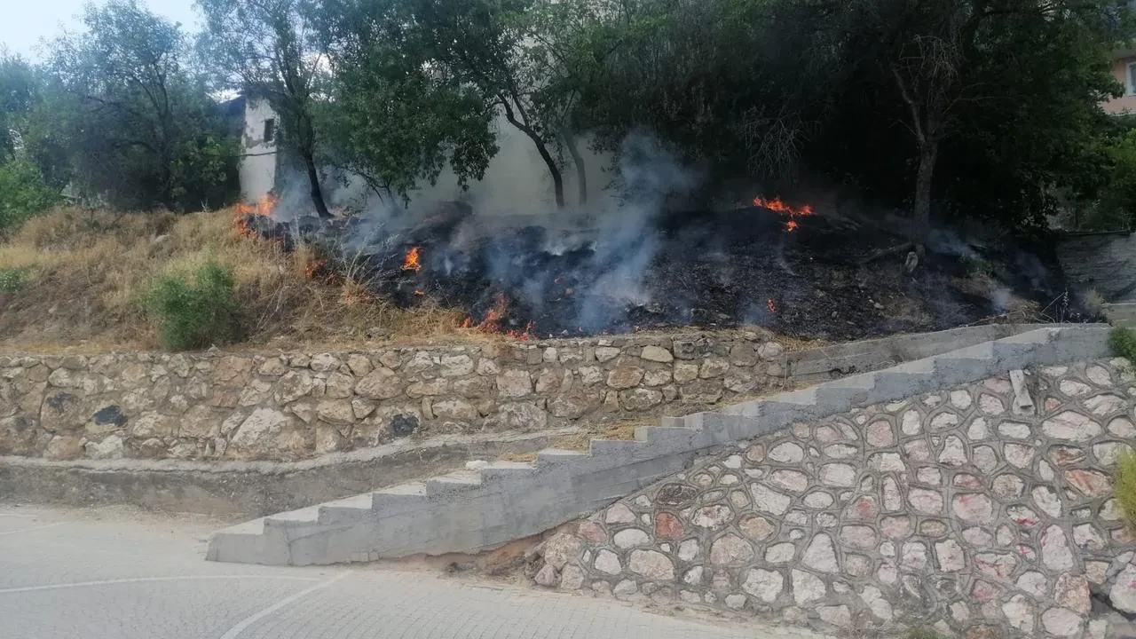 Bilecik Şeyh Edebali Türbesi yakınında yangın çıkardılar