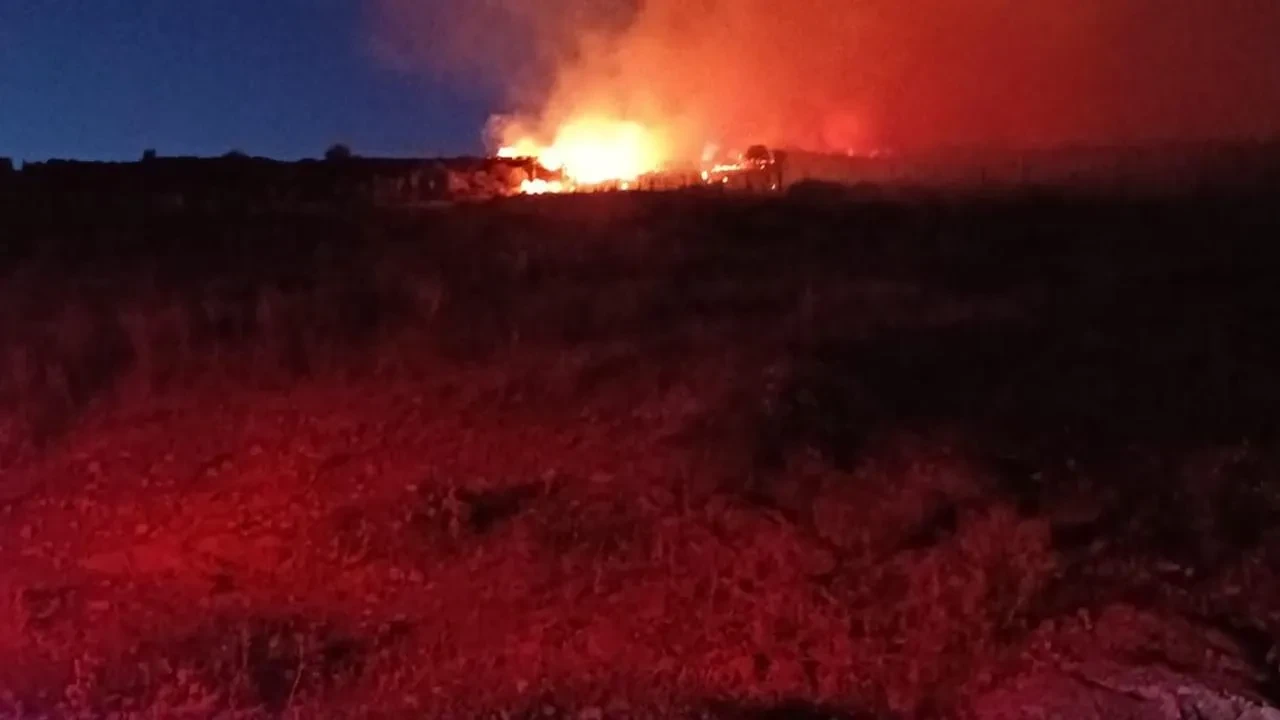 Menemen Maltepe makilik alanda yangın büyüyor