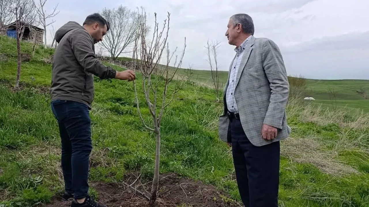 Hamur çiftçileri ağaç bakım eğitimiyle buluştu