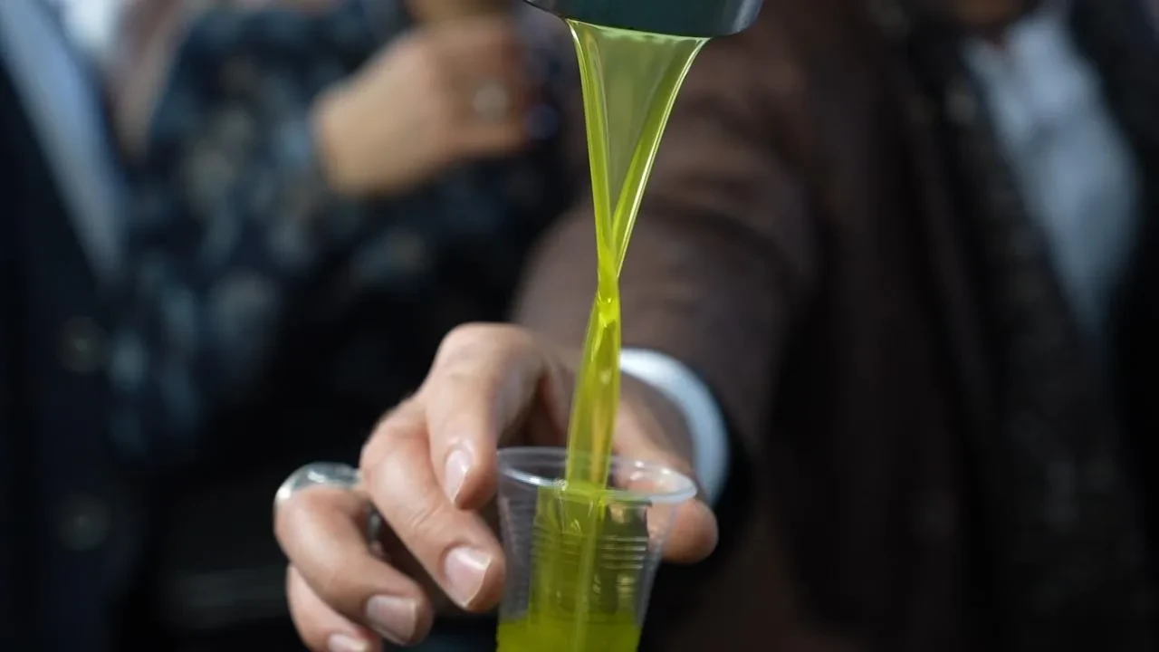 Yaz sıcaklarında zeytinyağı ile serinlemeyi keşfedin