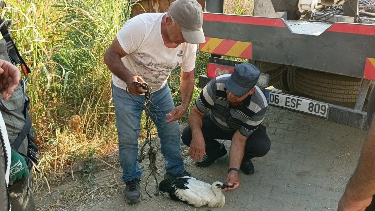 Söke Avşar Mahallesinde yaralı leylek yavrusu kurtarıldı