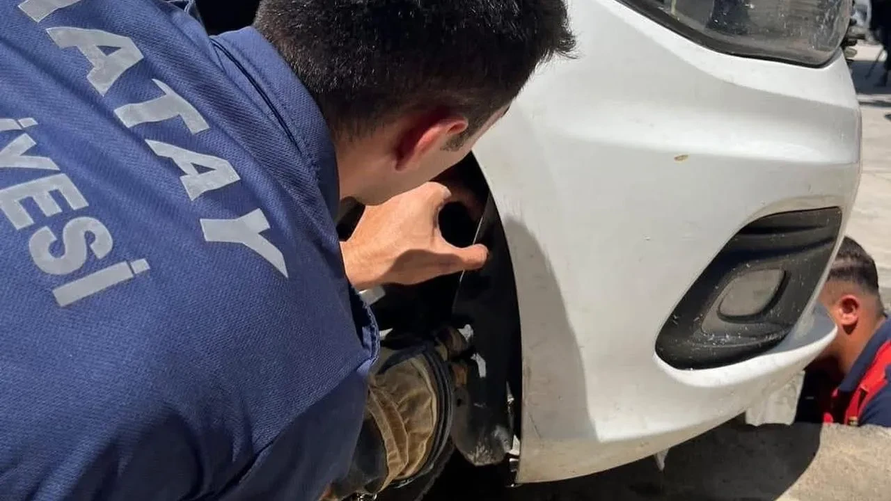 Araç kaputunda mahsur kalan kediyi İskenderunda kurtardılar