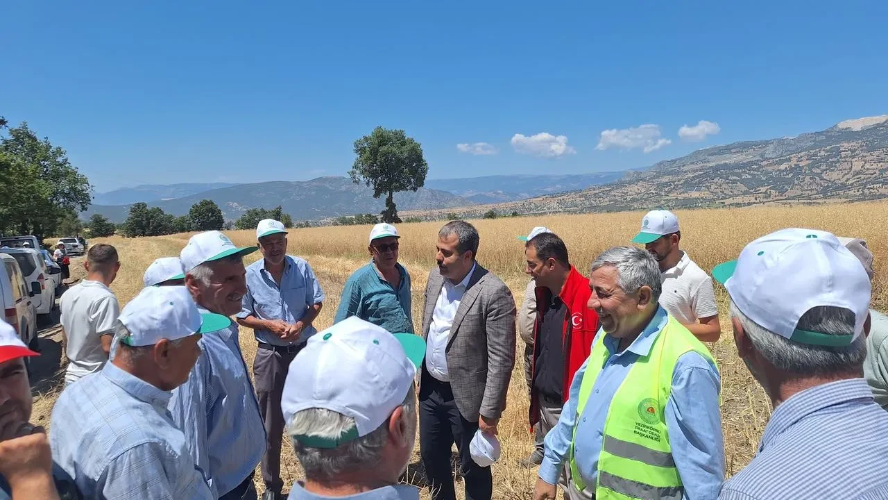 Vezirköprü’de Tarım ve Orman Bakanlığı destekli kanola hasadı başladı