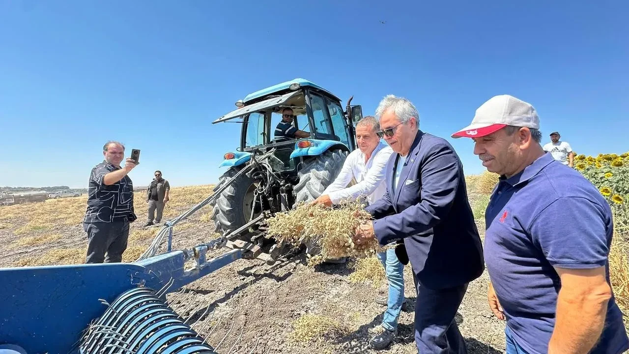 Bandırma Belediyesi Çiftçilere Destek İçin Nohut Hasadı Töreni Düzenledi