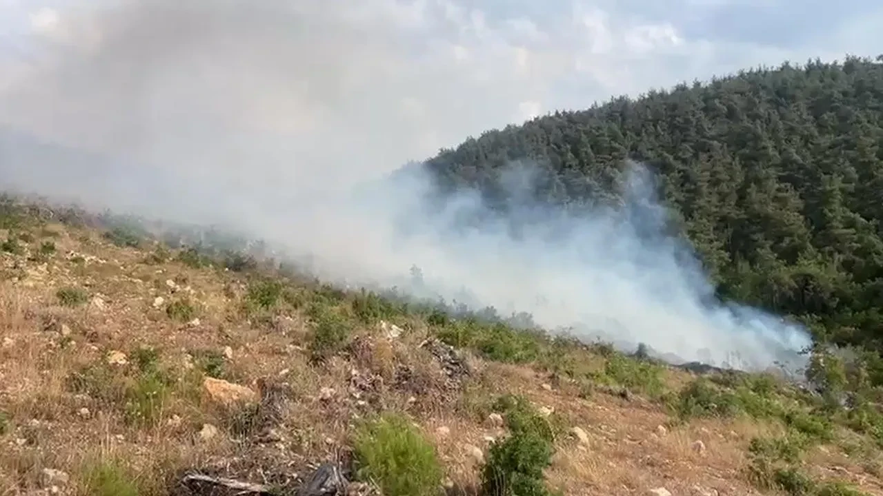 Bilecik'te aynı bölgede 15 günde ikinci orman yangını çıktı