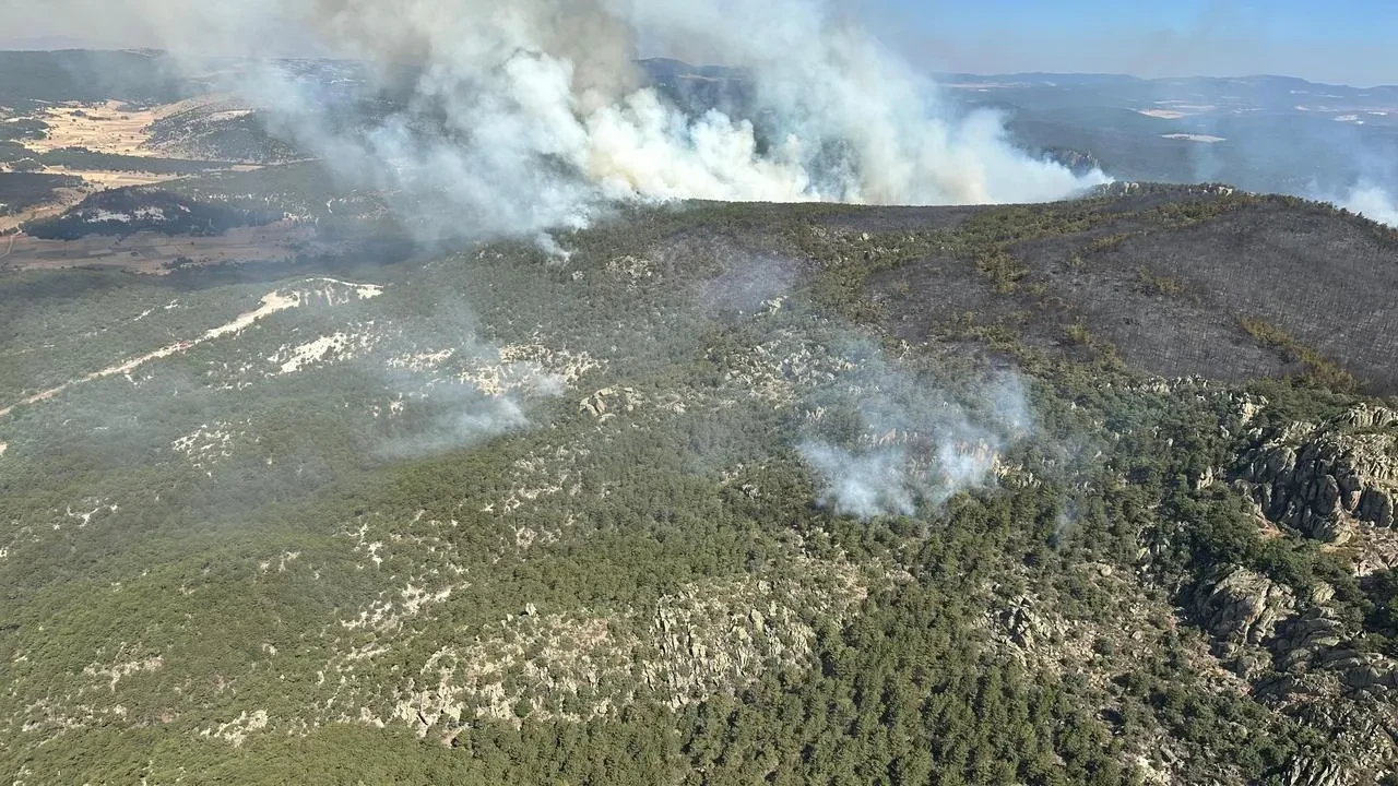 Eskişehir'de Seyitgazi ilçesinde orman yangınına havadan ve karadan müdahale sürüyor