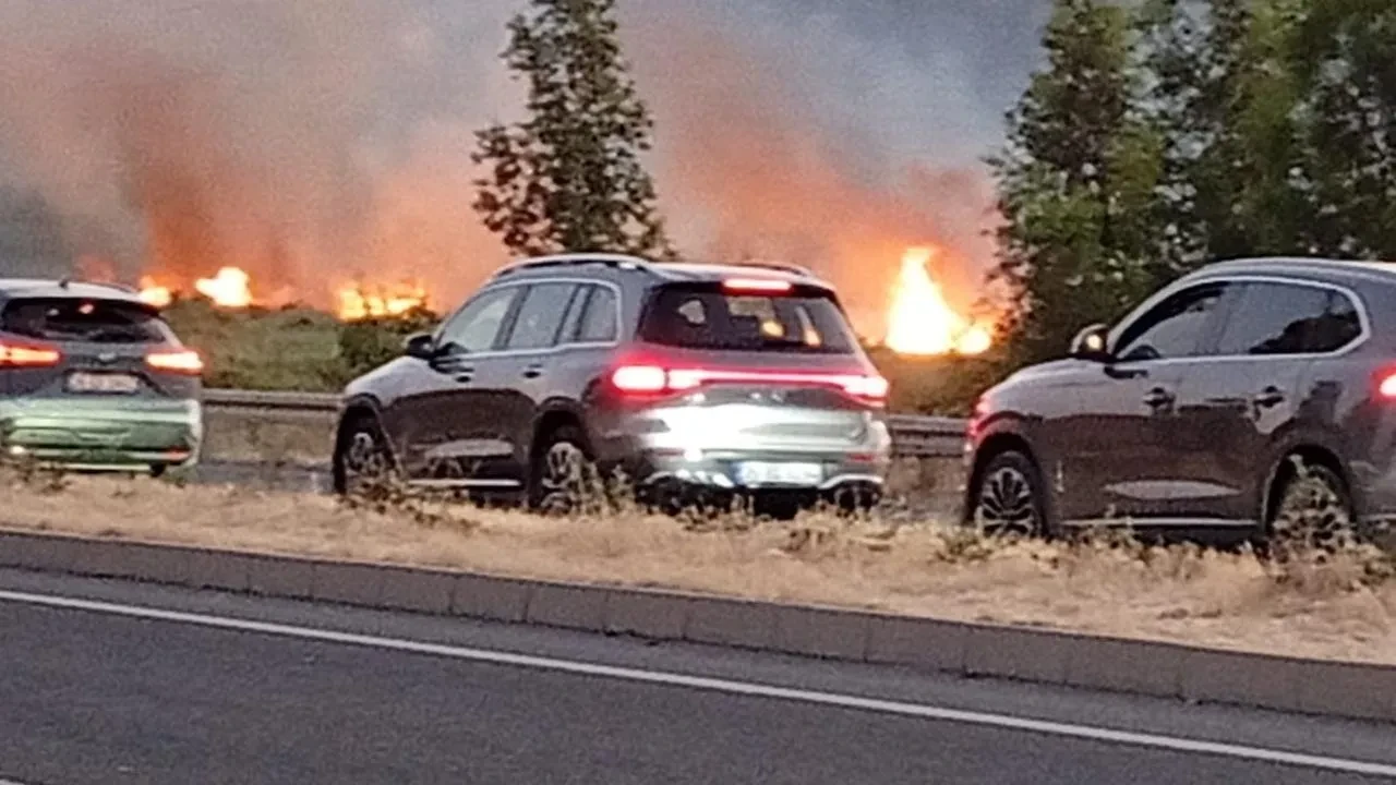 Aliağa'daki yangın Çanakkale-İzmir yoluna ulaştı, sürücüler zor anlar yaşadı