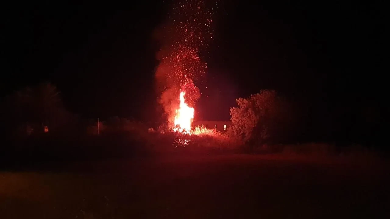 Datça'da otluk alanda çıkan yangın hızlı müdahaleyle söndürüldü