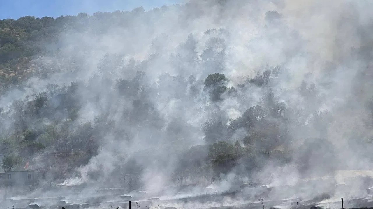 Güdül Yeşilöz Mahallesinde çıkan tarla yangını söndürüldü