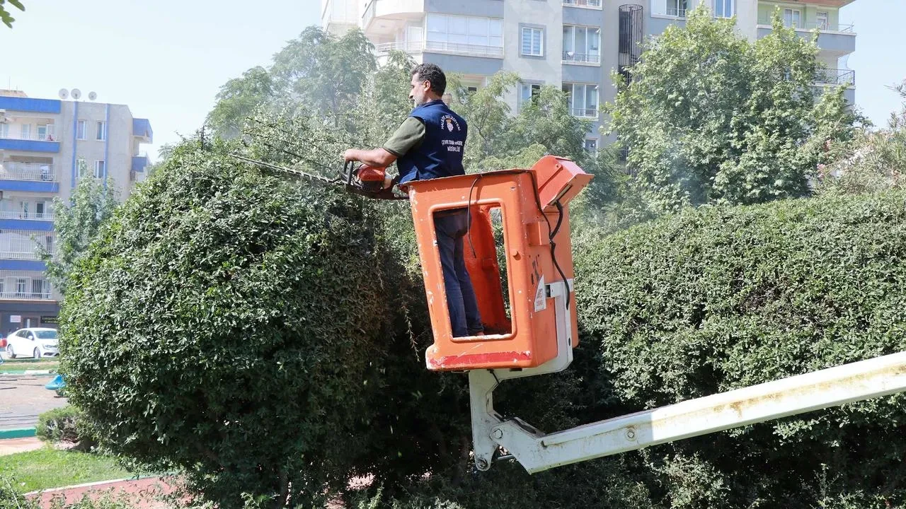 Haliliye Belediyesi Parkları Yenileyerek Yeşil Alanları Güzelleştiriyor