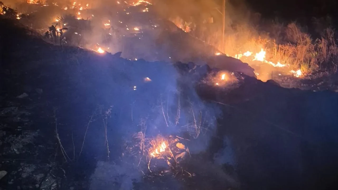 Antalya Büyükşehir Belediyesi İtfaiyesi Yangınlara Hızlı Müdahale Ediyor