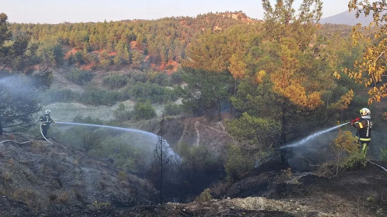Denizli'de orman yangını ekiplerin müdahalesiyle kontrol altına alındı