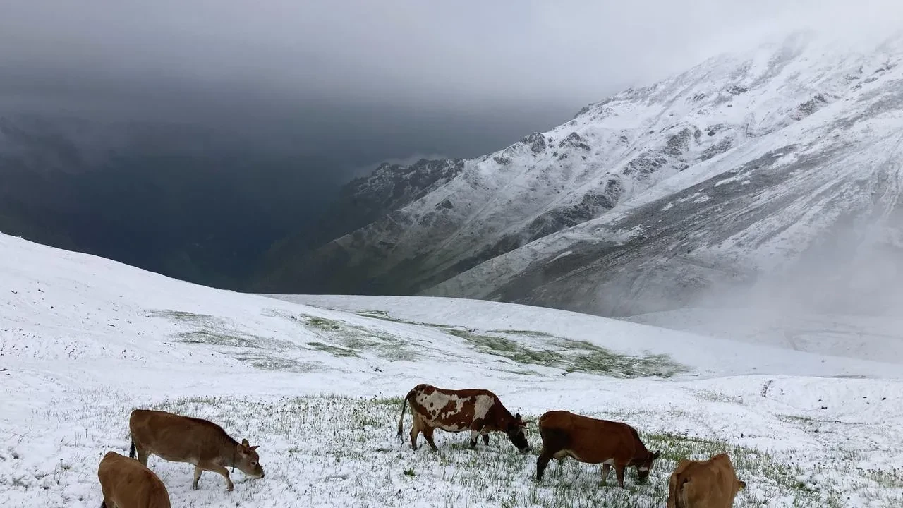 Çaykur Rizespor Mehmet Cengiz Tesislerinde sezona hazırlanıyor