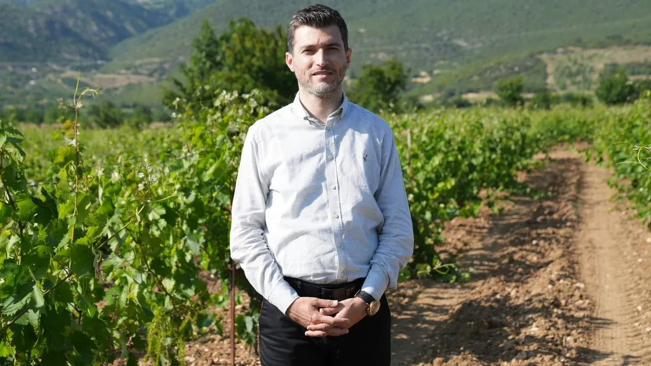 Erbaa Narince bağ yaprağı 2 milyar gelir getirecek