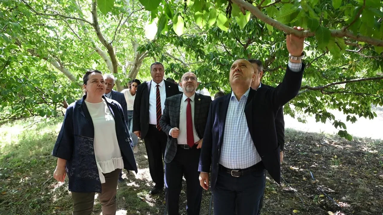 TBMM Komisyonu Çivril meyve bahçelerini yerinde inceledi
