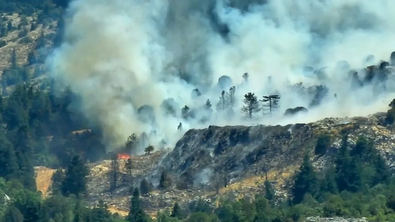 Beyşehir’de çöplükte başlayan yangın ormana sıçradı ve ekipler kontrol altına aldı