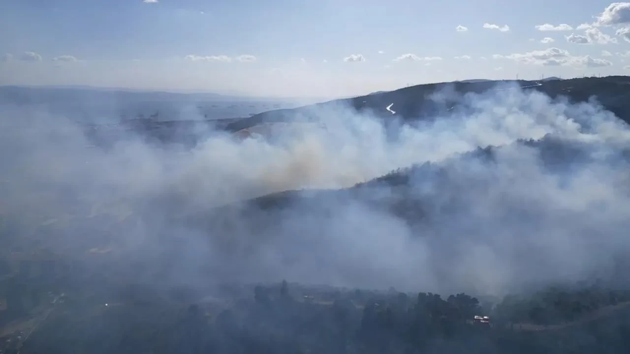 Kocaeli Derince Yenikent ormanlık alanda yangın başladı