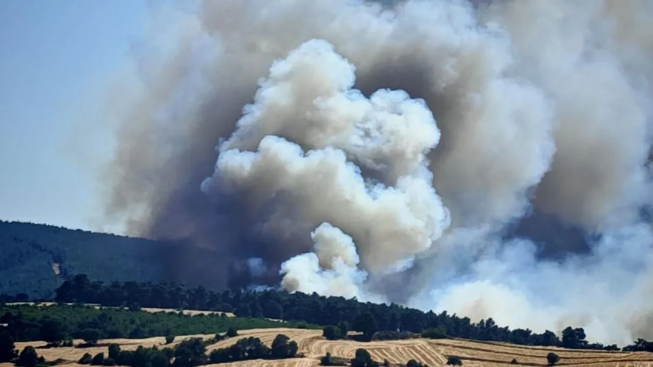Edirne Keşan’da orman yangınına karadan ve havadan müdahale sürüyor