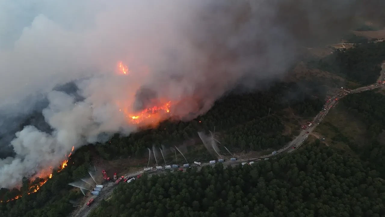 Karabük'te Kahyalar Köyü Yakınlarında Orman Yangını Çıktı