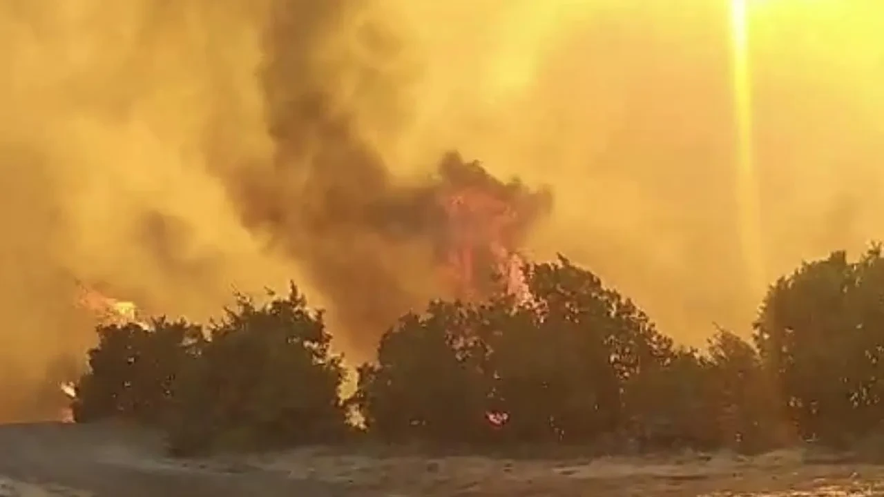 Balıkesir Altıeylül’deki orman yangınına havadan ve karadan müdahale ediliyor