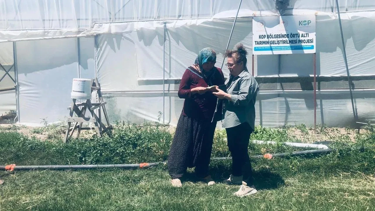 Niğde KOP destekli modern seralar üretime başladı