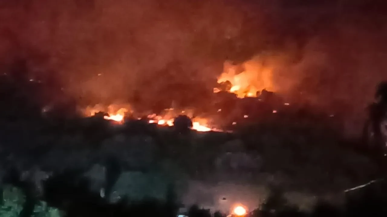 Dikili’de orman yangını İzmir Çanakkale yolunu kapattı