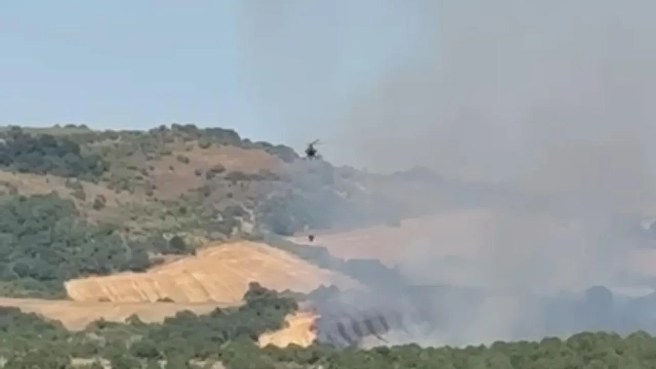 Balıkesir'in Manyas ilçesinde orman yangınına havadan müdahale