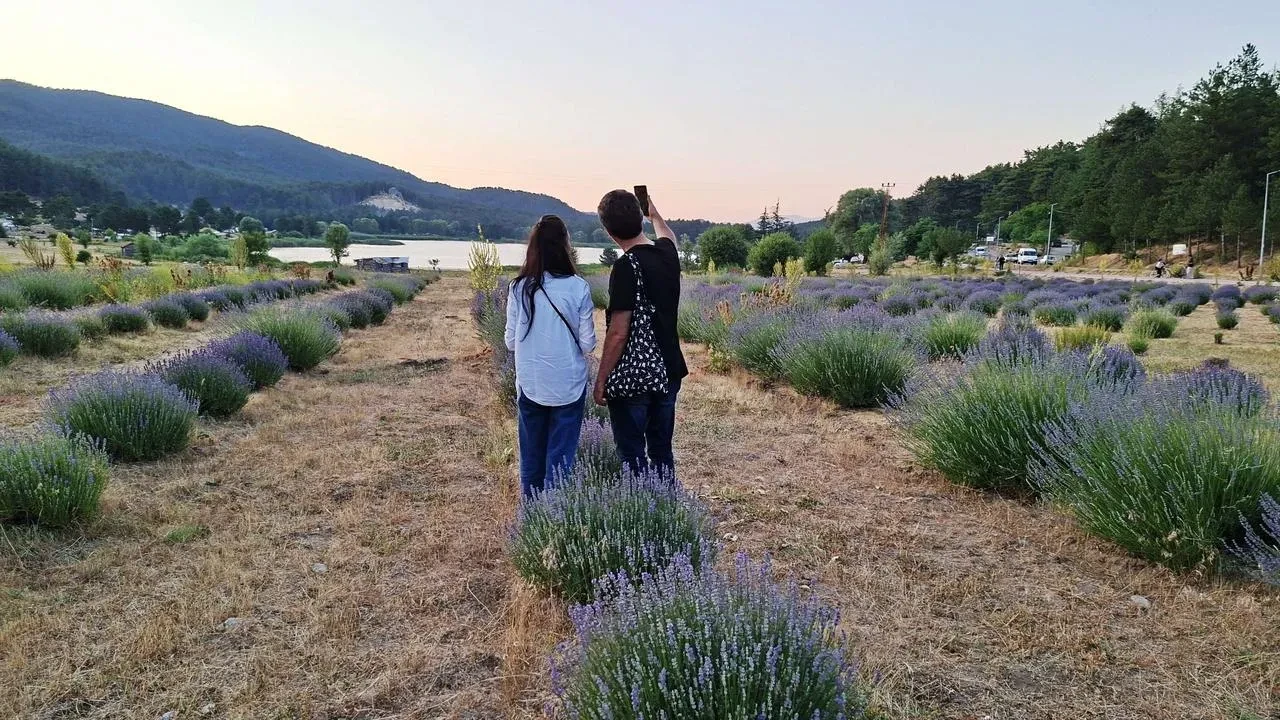 Simav Gölcük Yaylası'ndaki lavanta bahçesi fotoğraf tutkunlarını cezbediyor