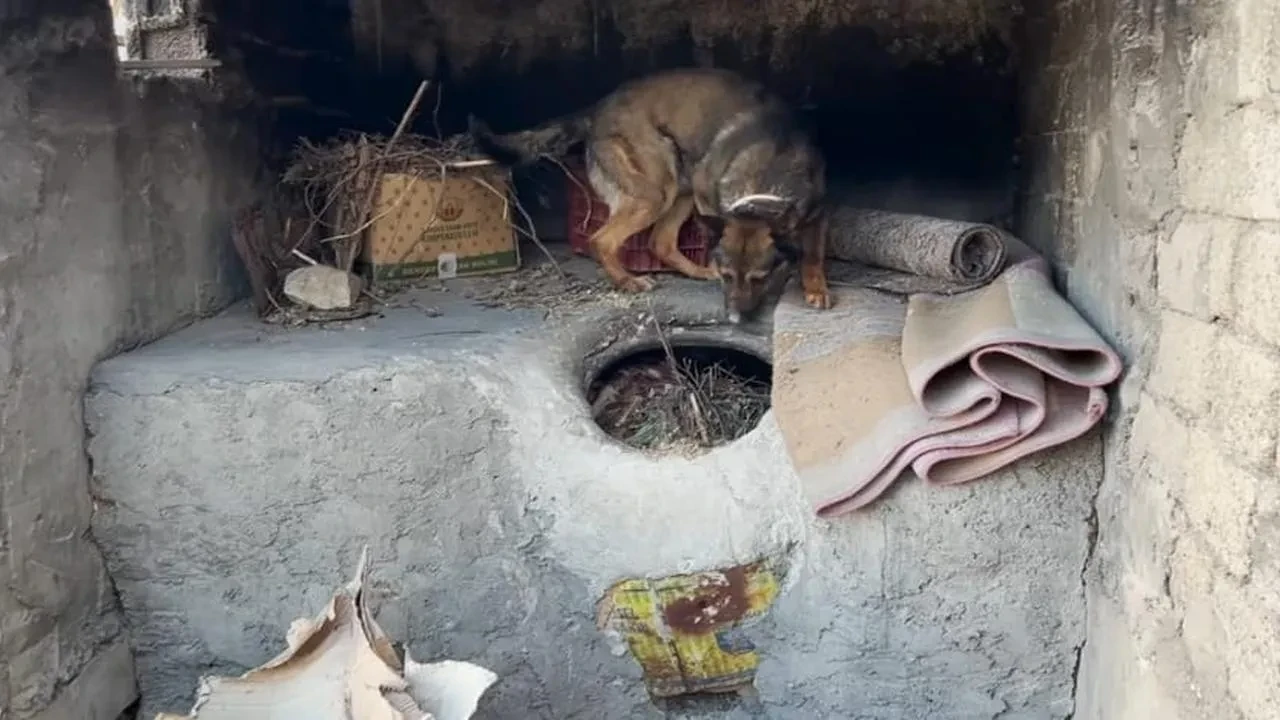 Batman'da ekmek tandırında 3750 gram uyuşturucu ele geçirildi