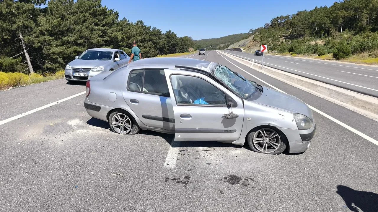 Tavşanlı Harmancık yolunda otomobil takla attı yaralandı
