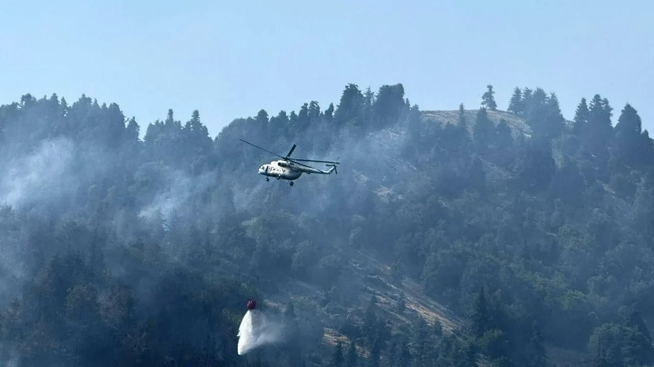 Osmaniye'nin Düziçi ilçesinde orman yangınına havadan ve karadan müdahale sürüyor