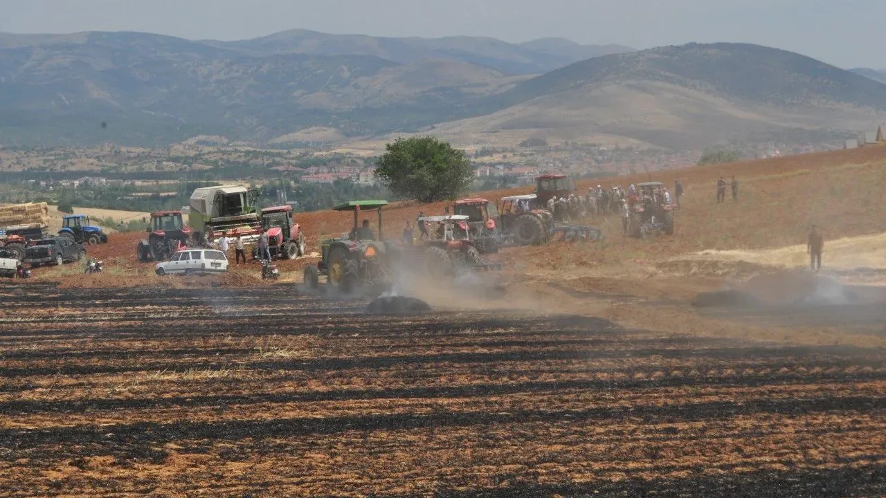 Balya makinesi yangını Isparta Yalvaç'ta 100 dönüm araziyi yok etti