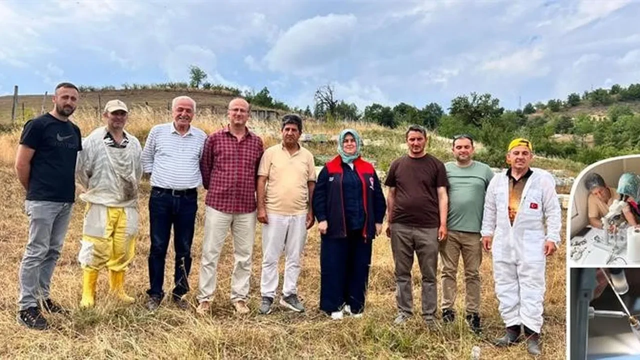 Yığılca arısının genetik özellikleri suni tohumlama ile korunuyor